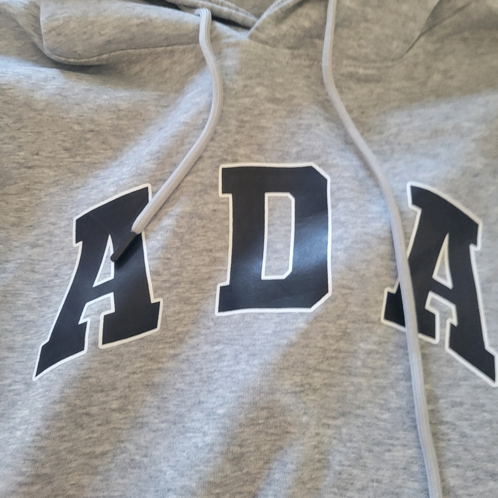 ADANOLA ADA Logo Oversized Hoodie Grey Athleisure Minimalist Sweatshirt EUC L - Picture 3 of 5